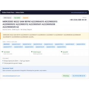 MERCEDES W222 SAM BEYNİ A2229004315