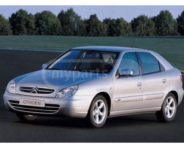 Kapı Kolu CITROEN Xsara 1999-2006
