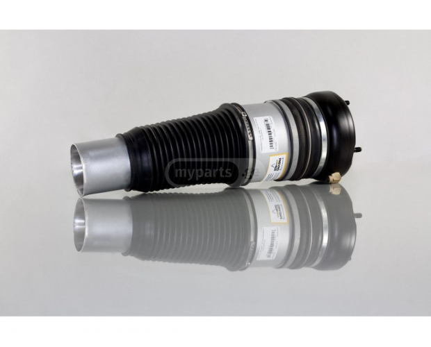 Körüklü Süspansiyon (Airmatic) AUDI A6 2004-2011