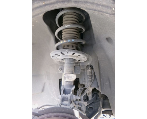 Amortisör FORD Fusion / C-MAX