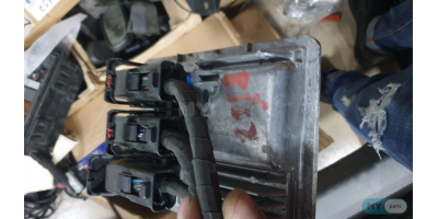 Motor Beyni (ECU) CHEVROLET Volt 2016-2019