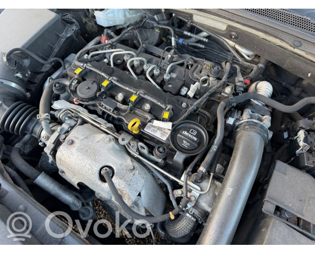 Opel Insignia B 1.6 CDTI Dizel 2018 Orijinal Çıkma Motor B16DTH Opel Insignia B 1.6 CDTI Dizel 2018 Orijinal Çıkma Motor B16DTH