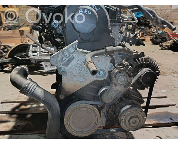Volkswagen Golf V 1.9 TDI Dizel 2005 Orijinal Çıkma Motor BKC Volkswagen Golf V 1.9 TDI Dizel 2005 Orijinal Çıkma Motor BKC