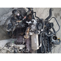 Volkswagen Transporter/Caravelle T6 2.0 TDI Dizel 2020 Orijinal Çıkma Motor CXHA