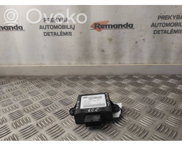 Peugeot 307 2.0 2003 Elektronik Beyin Çıkma