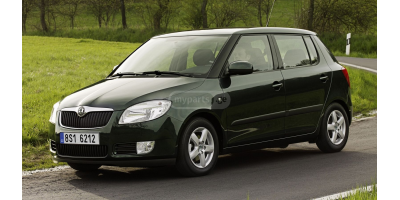 Ön Cam SKODA Fabia 2007-2014