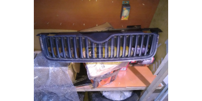 Ön Panjur SKODA Fabia 2010-2014