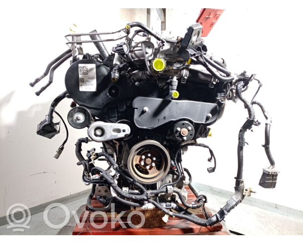 Volkswagen Amarok (II Kasa) 3.0 Dizel 2023 Orijinal Çıkma Motor 0XW100092R